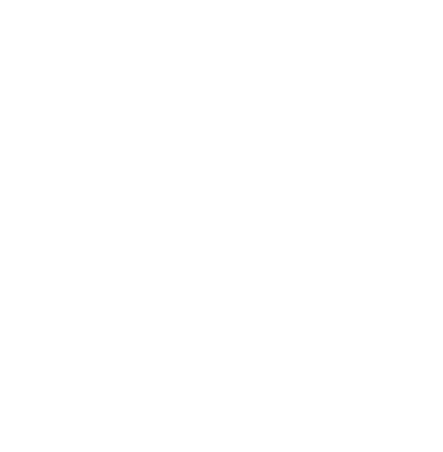 Die Wagen trugen jeweils 10 t Borax durch die Wüste zur Eisenbahn. Diese endete damals in einer netteren Wüste, Mojave. Nicht zu verwechseln mit dem Betriebssystem von Apple. Der Weg war allerdings genauso lang wie die Maultierherde, 275 km mussten die Tiere die insgesamt 20 t plus Wasserwagon mit 5 t  ziehen. Die Gesamtlänge der Karawane war 55 m. Allerdings waren diese Wagen nicht die längsten. Es gab einen Zug mit 24 Mulis, die 30 t Borax durch die Wüste schleppten. Das war aber früher. Die 20 Muli Treks gingen von 1883 bis 1889.
Danach kam die Eisenbahn. Aber nicht gleich. Denn die Muli-Züge sollten zunächst durch eine Dampfmaschine ersetzt werden. Diese erwies sich aber als weniger zähe als die Mulis. Und ging bald kaputt. 
Die Amis wären nicht Amis, wenn sie nicht bald eine Eisenbahn gebaut hätten. Die Death Valley Railroad (DVRR) war eine für den Transport von Borax gegründete Eisenbahngesellschaft, die vom 26. Januar 1914 bis zum 13. Juni 1934 bestand. Die gleichnamige Eisenbahnstrecke war eine 32,2 km lange Schmalspurbahn mit einer Spurweite von 3 Fuß (914 mm) von Death Valley Junction zu einem Borax-Bergwerk bei Ryan in Kalifornien. 